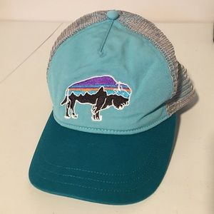 Patagonia Fitz Roy Bison Layback Trucker Hat